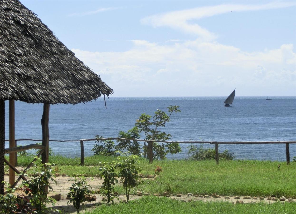 Jabar * Zanzibar