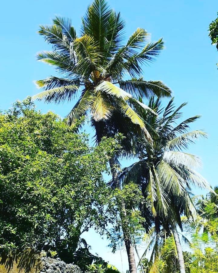Mau'splace - Authentic Afrikan House Homestay Jambiani (Zanzibar)