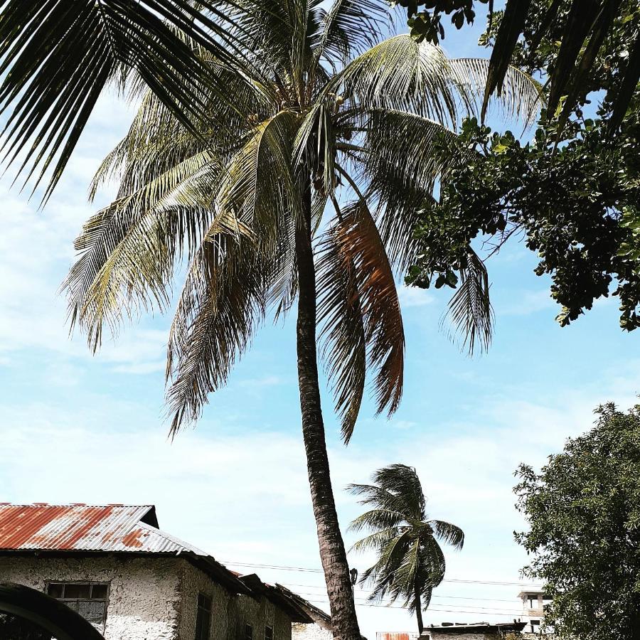 Mau'splace - Authentic Afrikan House
