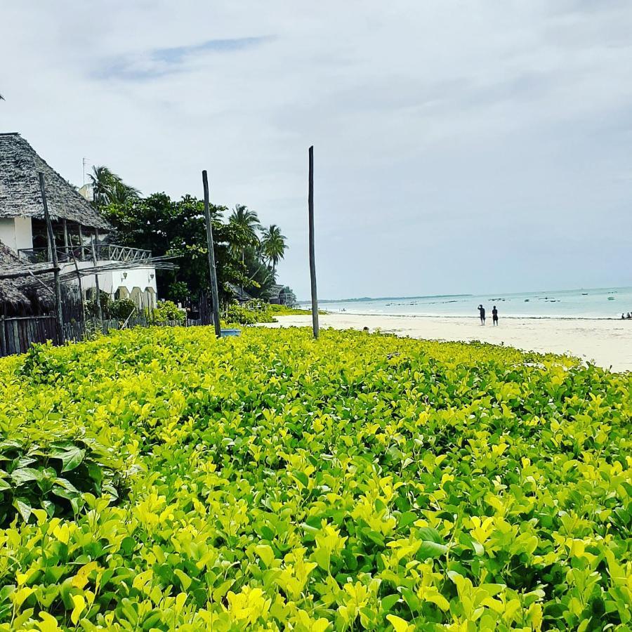 Mau'splace - Authentic Afrikan House Jambiani (Zanzibar)