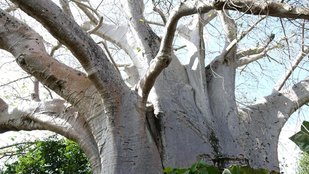 Eden Rock Zanzibar * Mtende