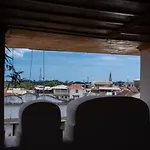 Aurelia Zanzibar