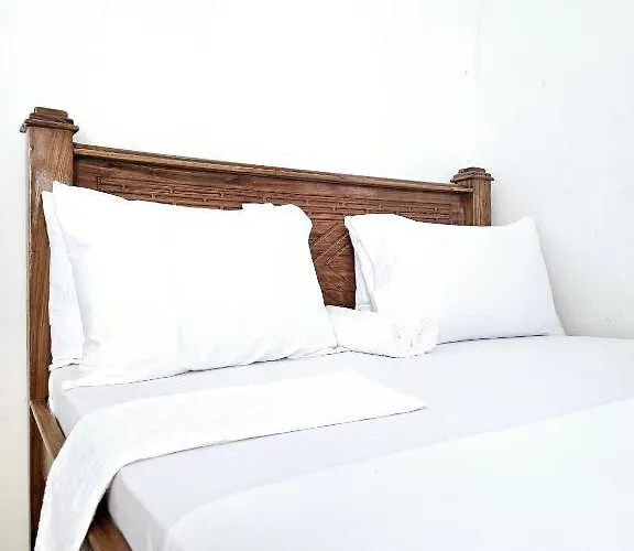 Hello Rafiki Guesthouse - Mkunazini