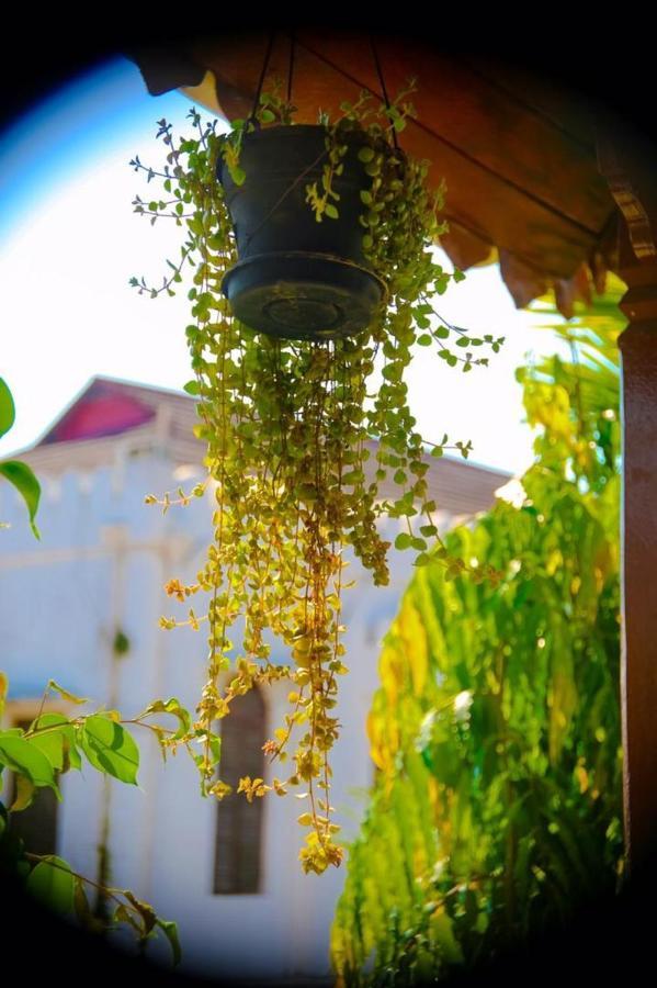 Lodge Garden *