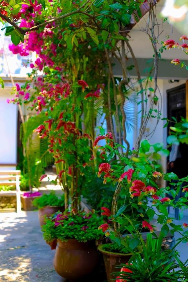 Lodge Garden *