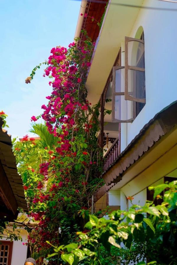 Lodge Garden *
