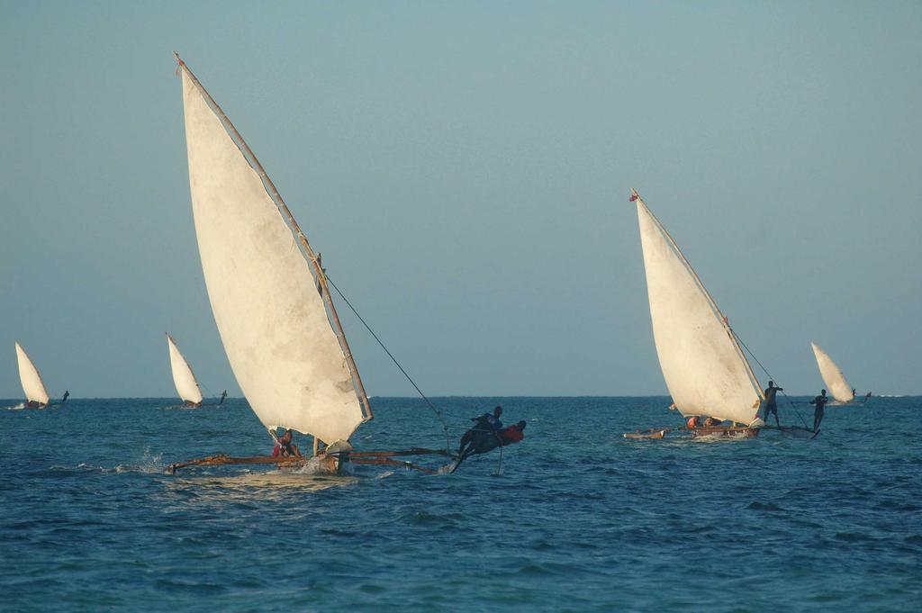 Cool Runnings Jambiani (Zanzibar)