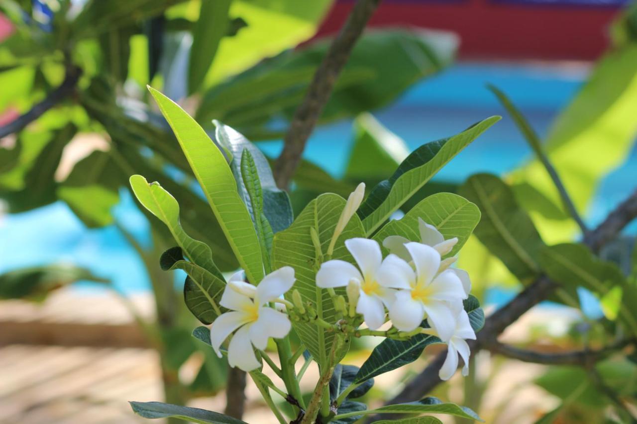 Baridi Kiwengwa (Zanzibar)