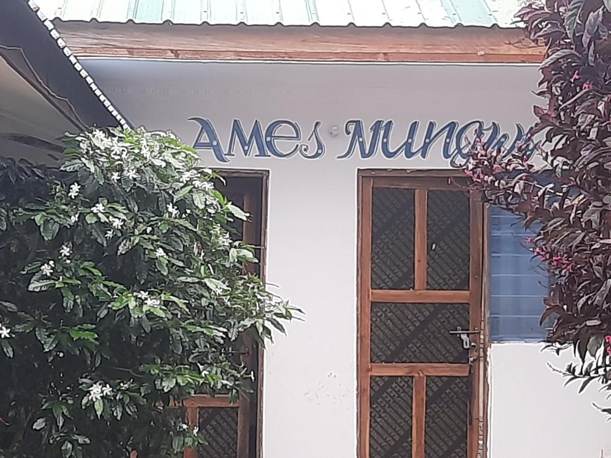 Bed & Breakfast Ames Nungwi