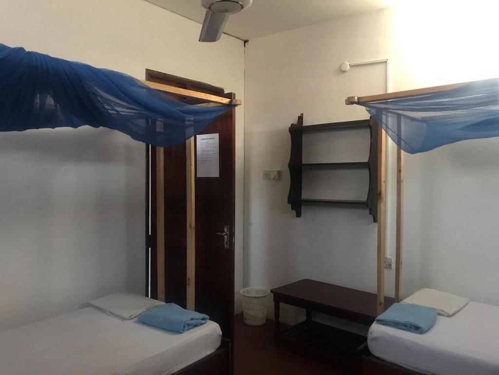 Flamingo Znz Zanzibar