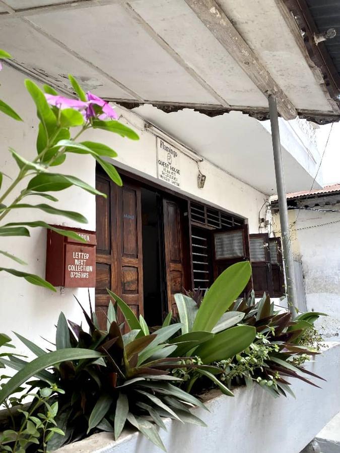 Guest house Flamingo Znz