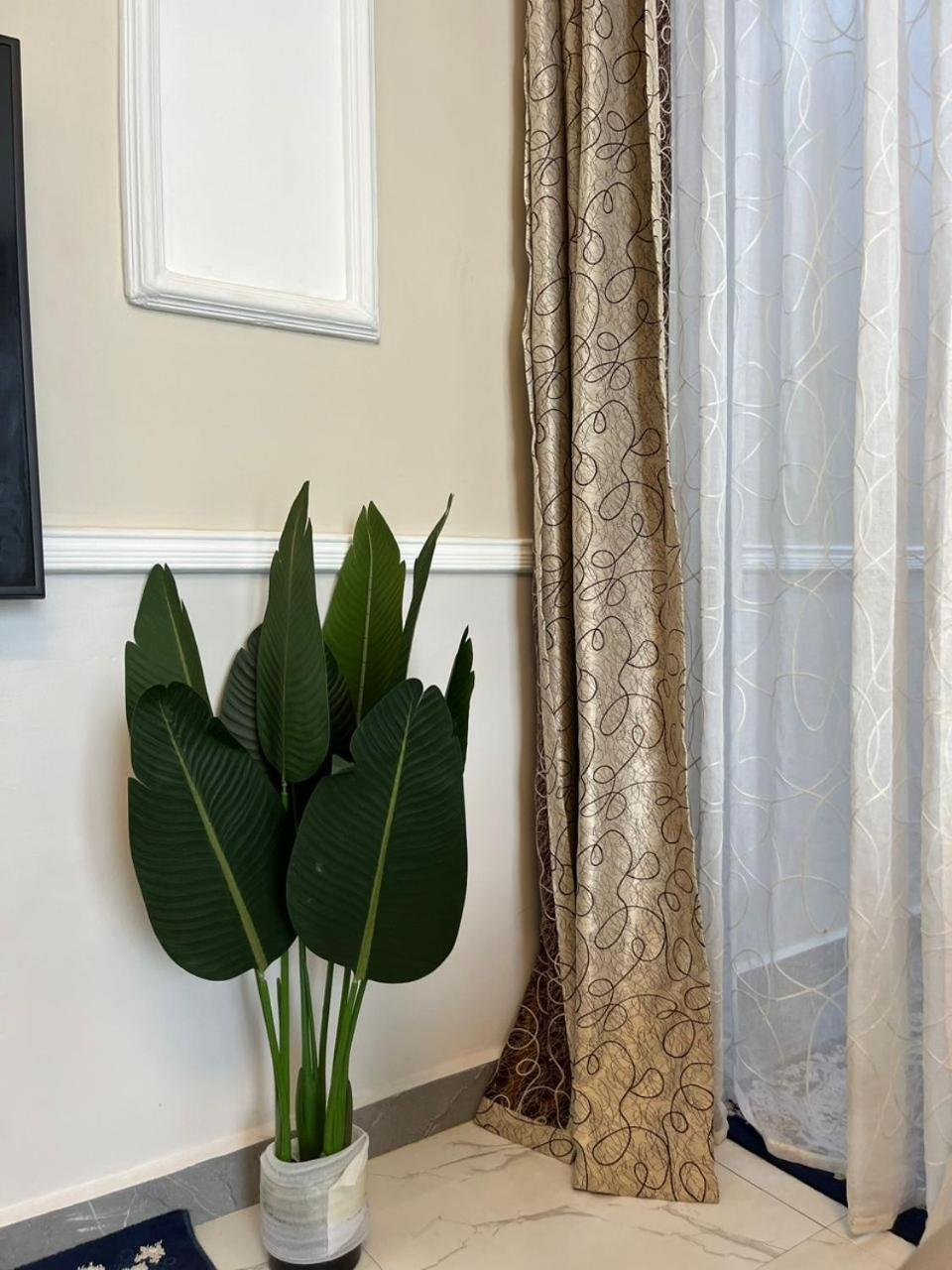 Apartment Greenlight