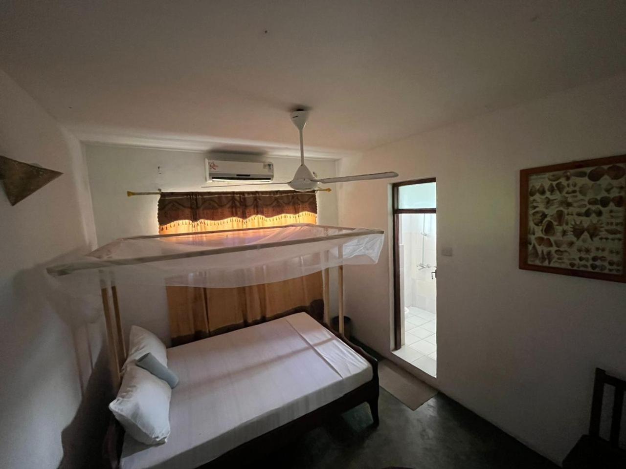 Bed & Breakfast Flamingo Znz