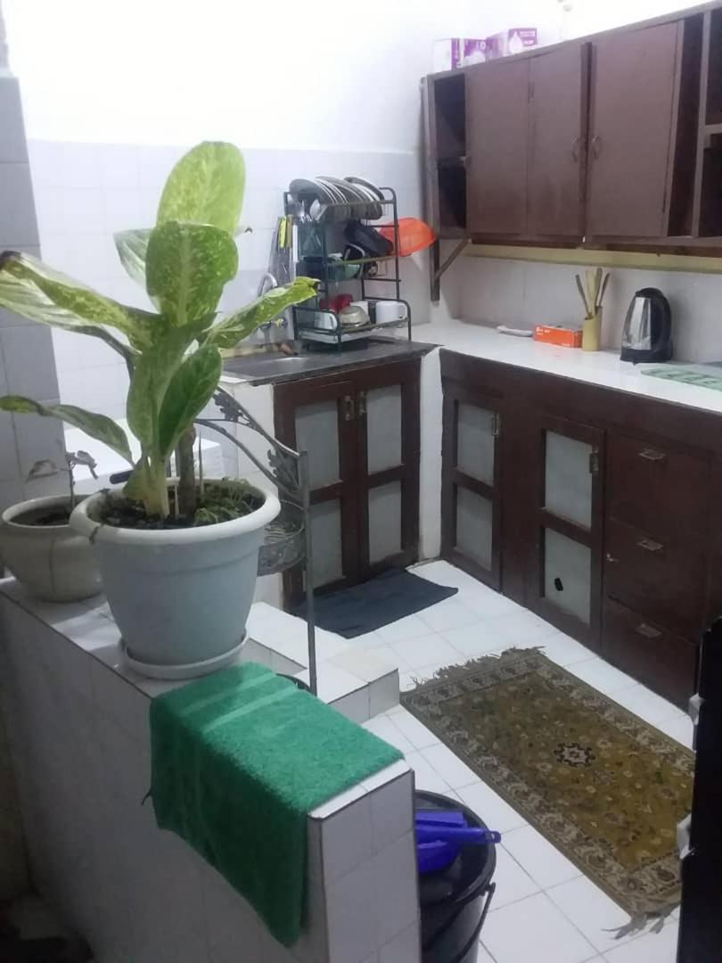 Apartment Stone House