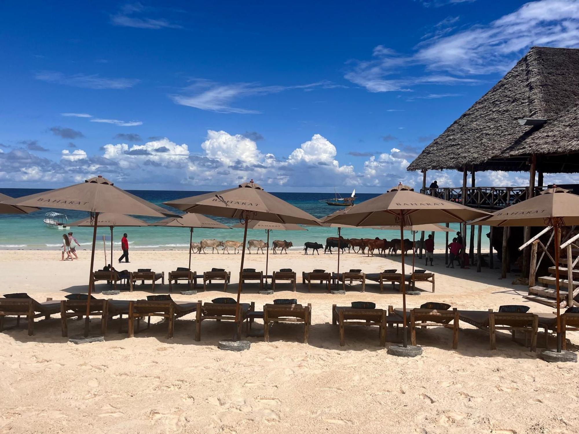 Bambam Zanzibar Resort
