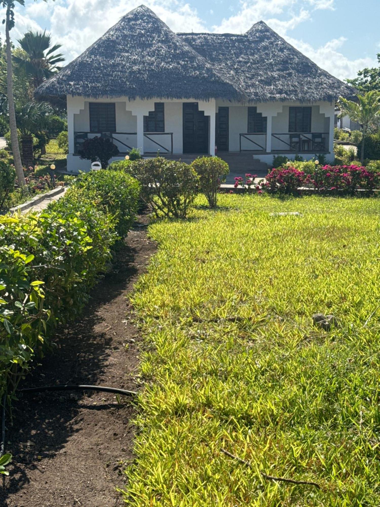 Resort Zanzinite *