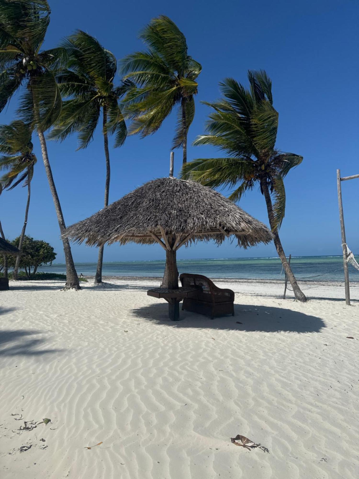 Zanzinite * Zanzibar