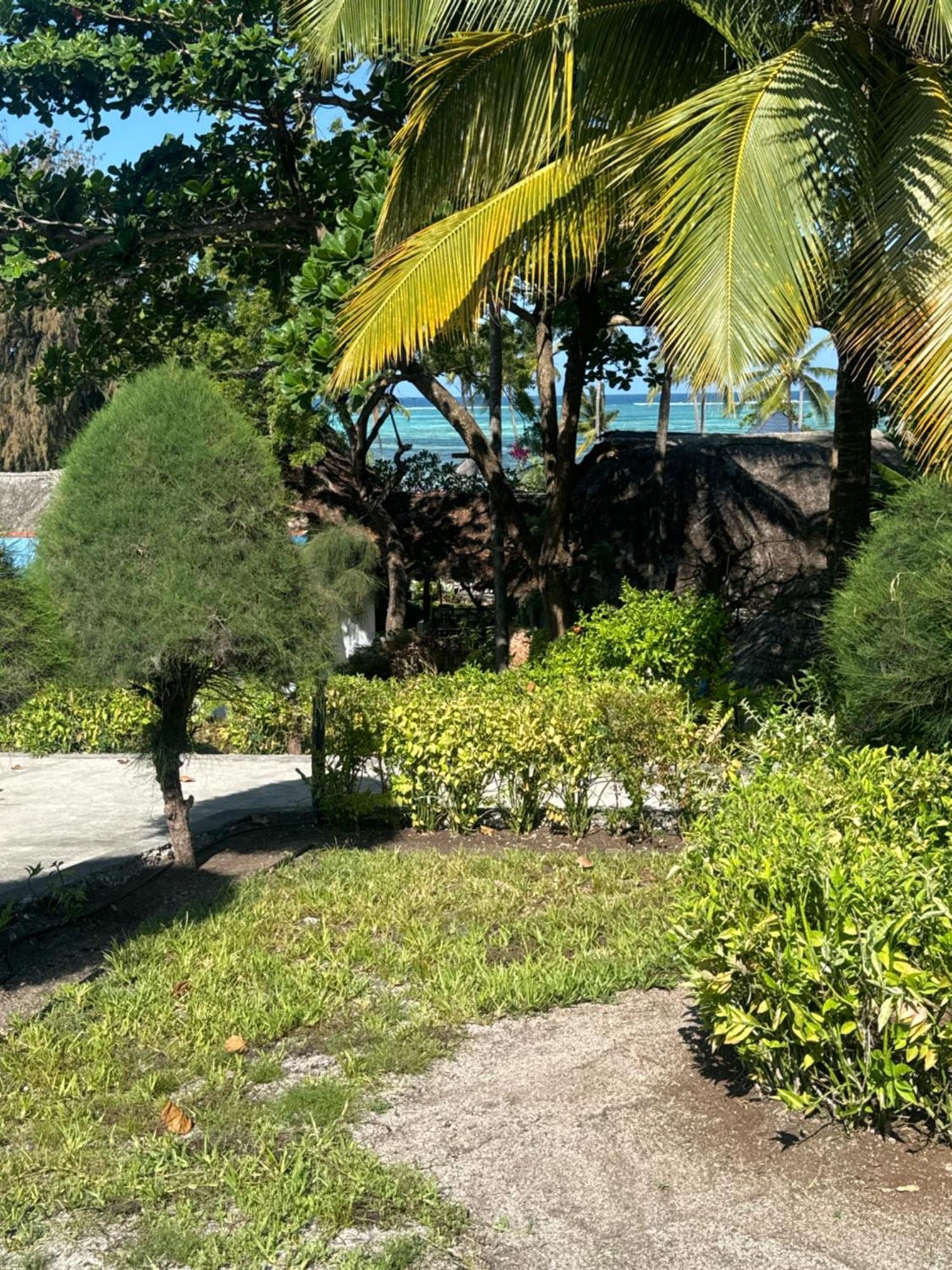 Zanzinite Zanzibar