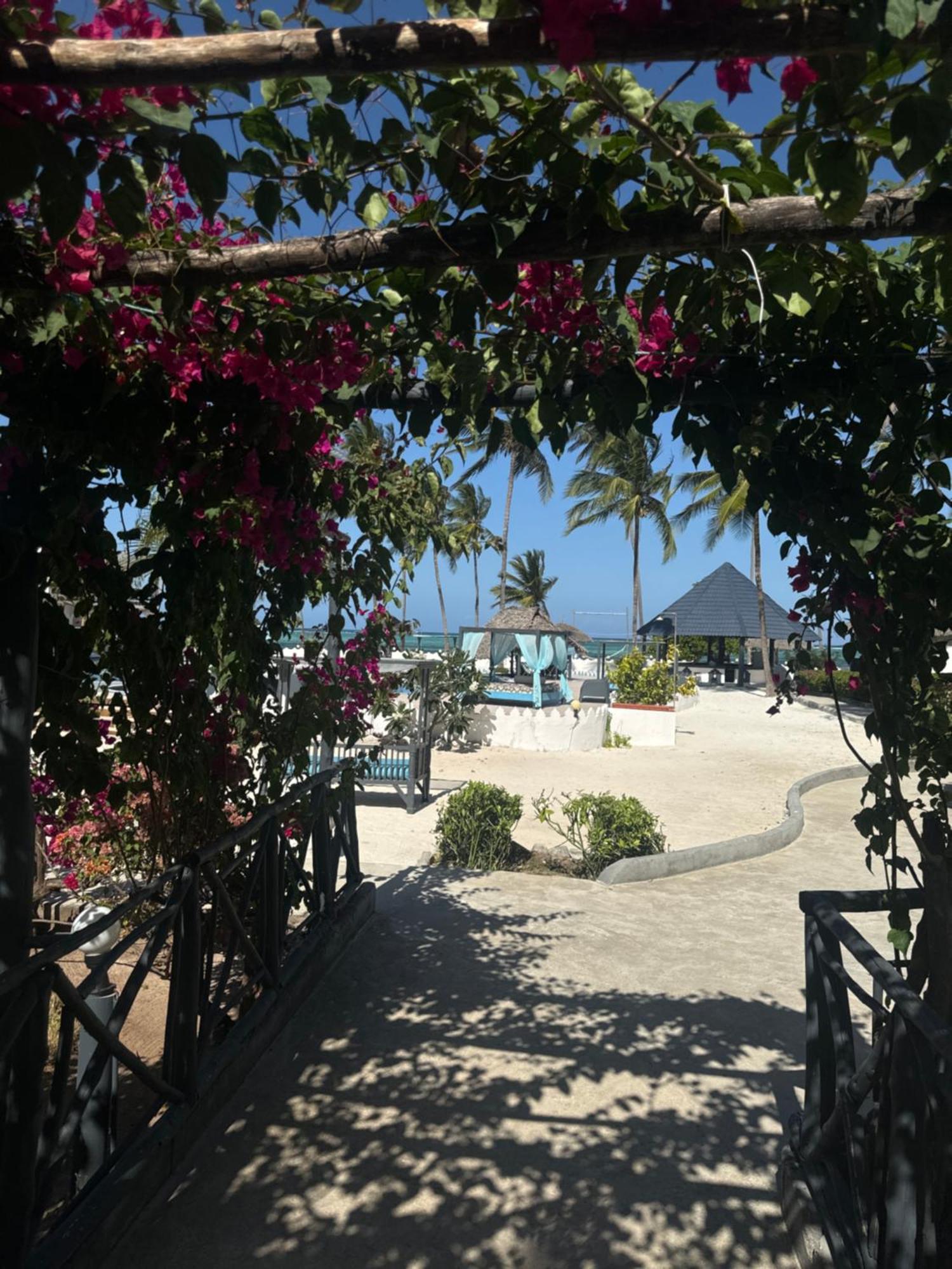 Resort Zanzinite