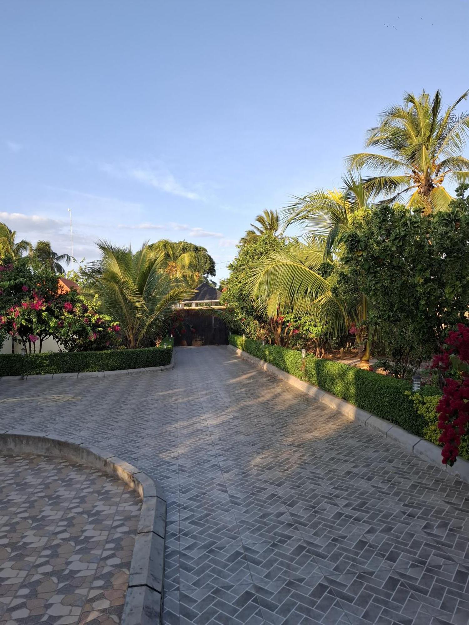 Villa Buyu House *