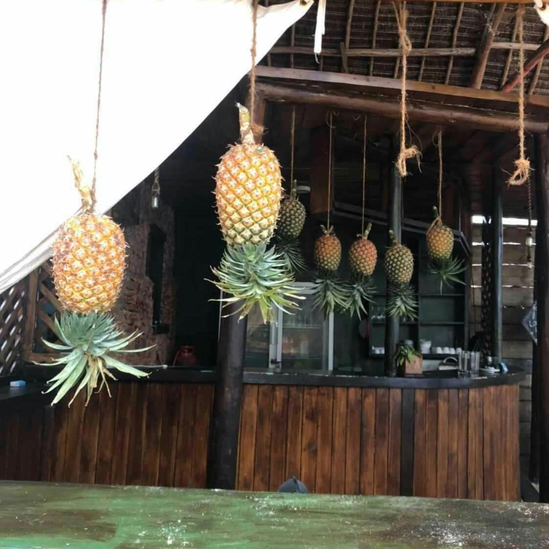 Pazuri Kendwa Hotel *