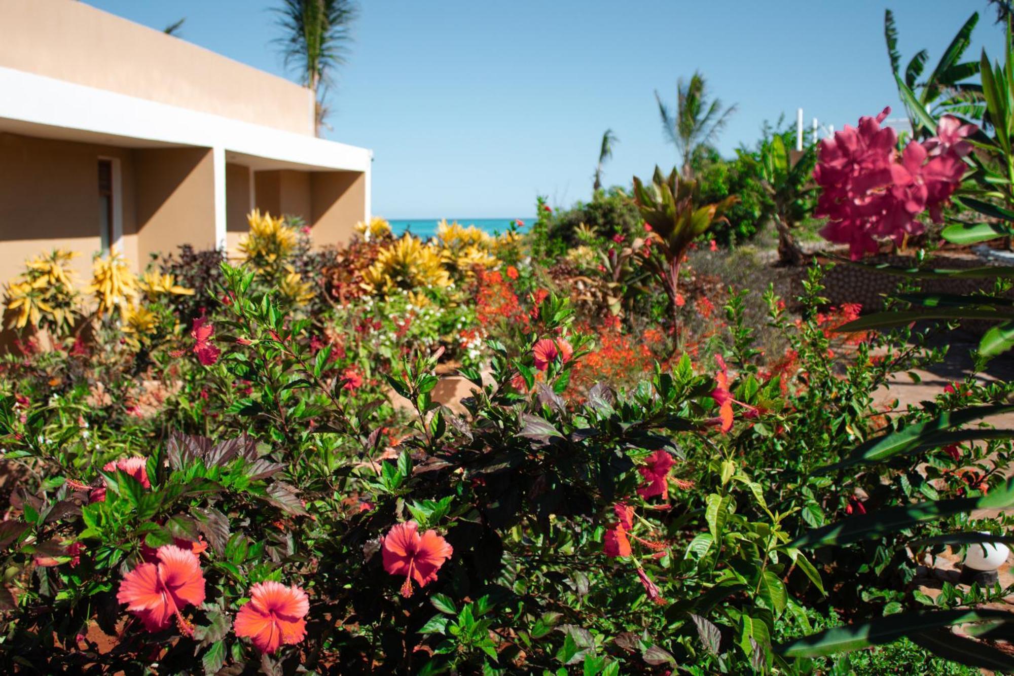 Oasis Blu Resort-adults Only 4* Nungwi