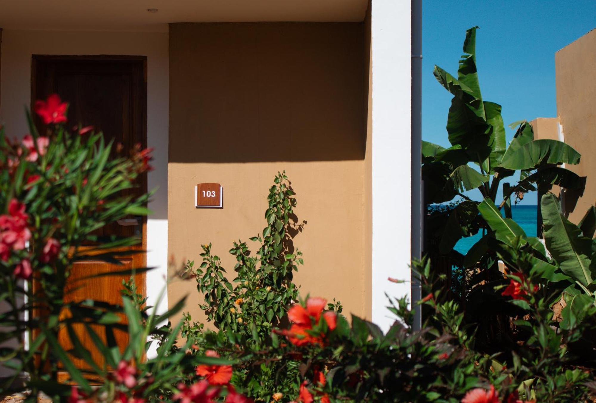 Oasis Blu Resort-adults Only Hotel Nungwi