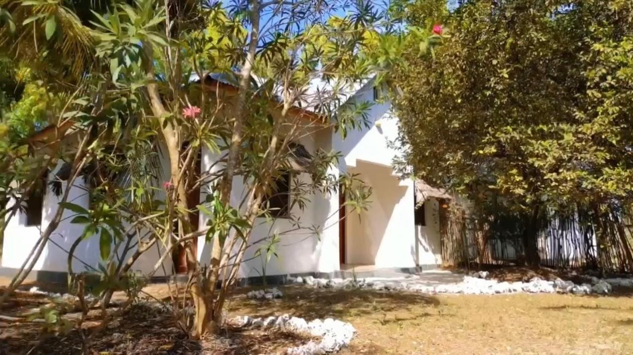 Hostel Paje