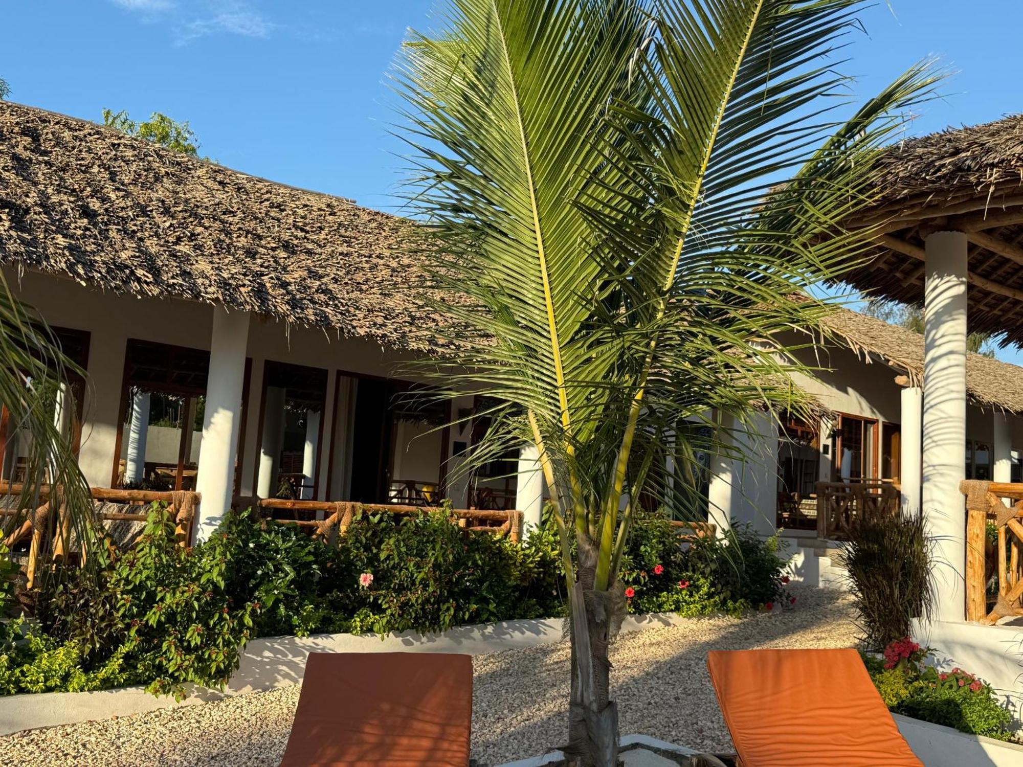 Hotel M&m Zanzibar