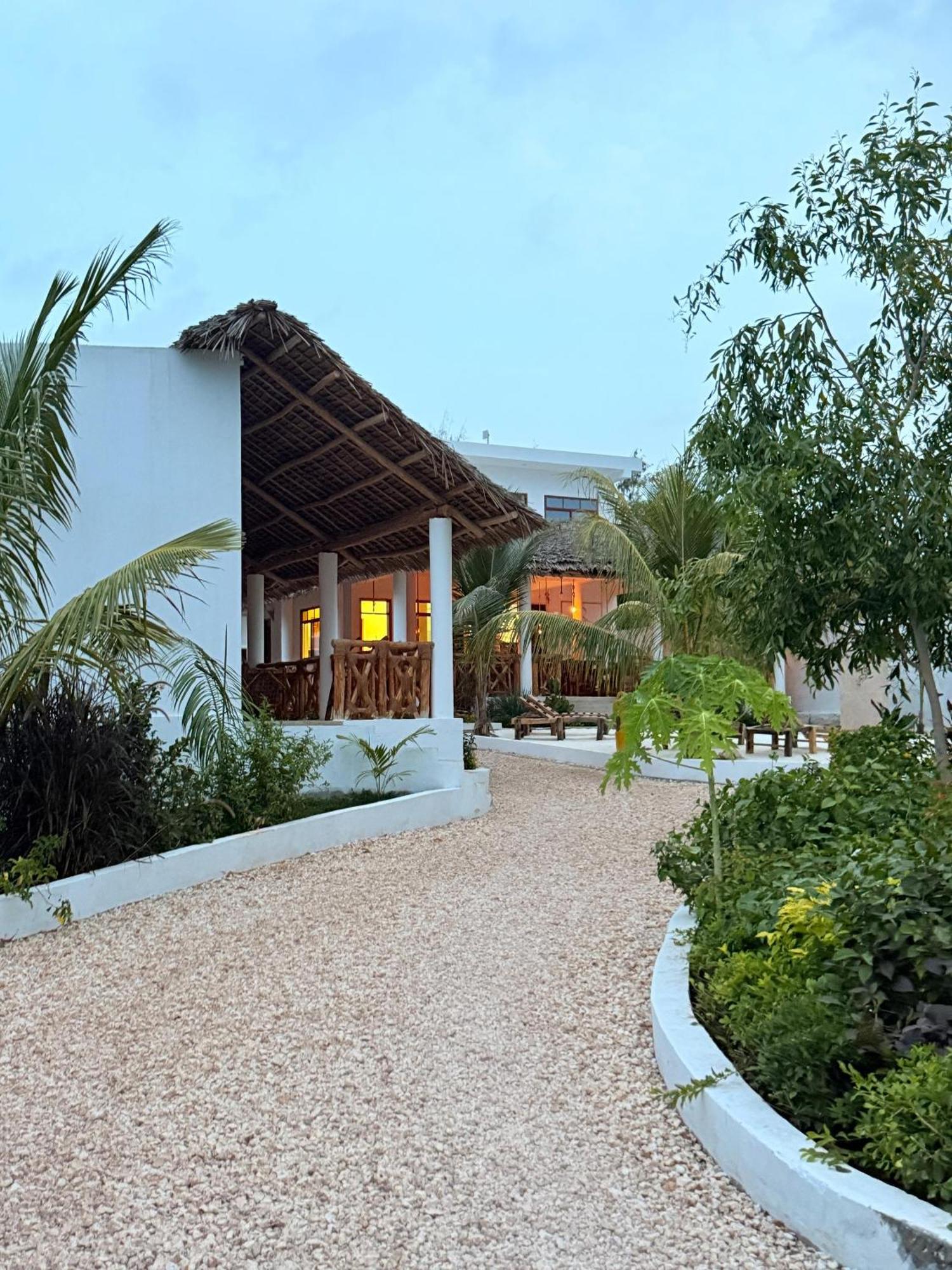 M&m Zanzibar