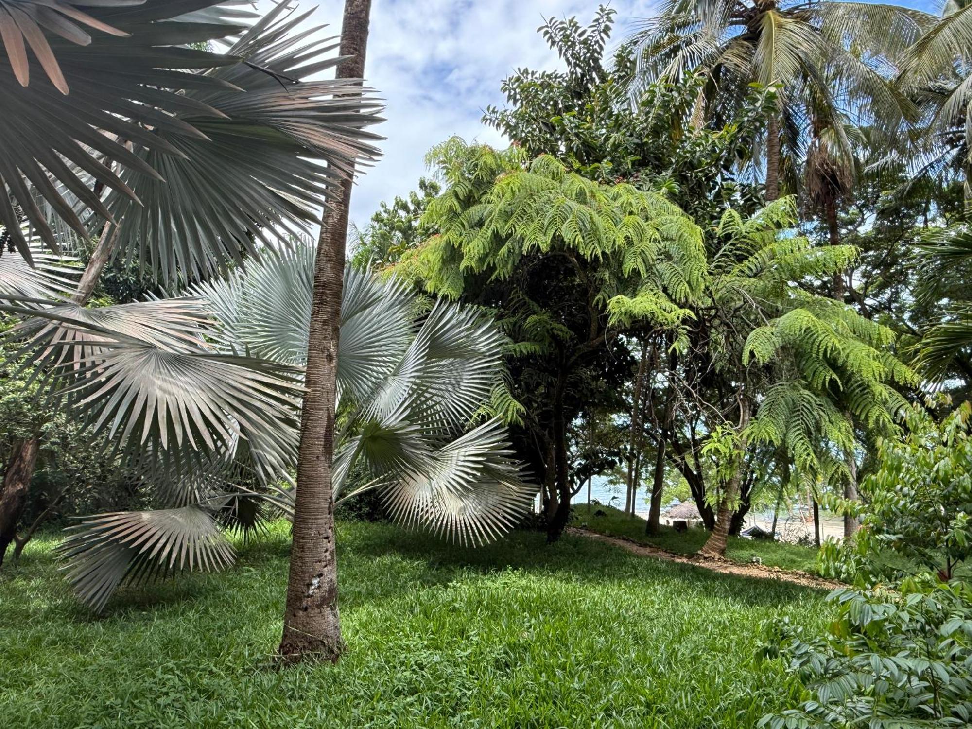 Hotel Mbweni Ruins & Gardens Previously Jungle Paradise Zanzibar