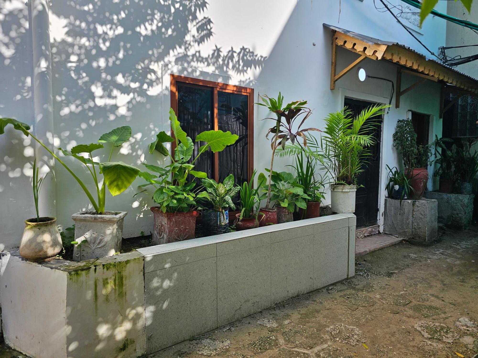 Jacob's Zanzibar