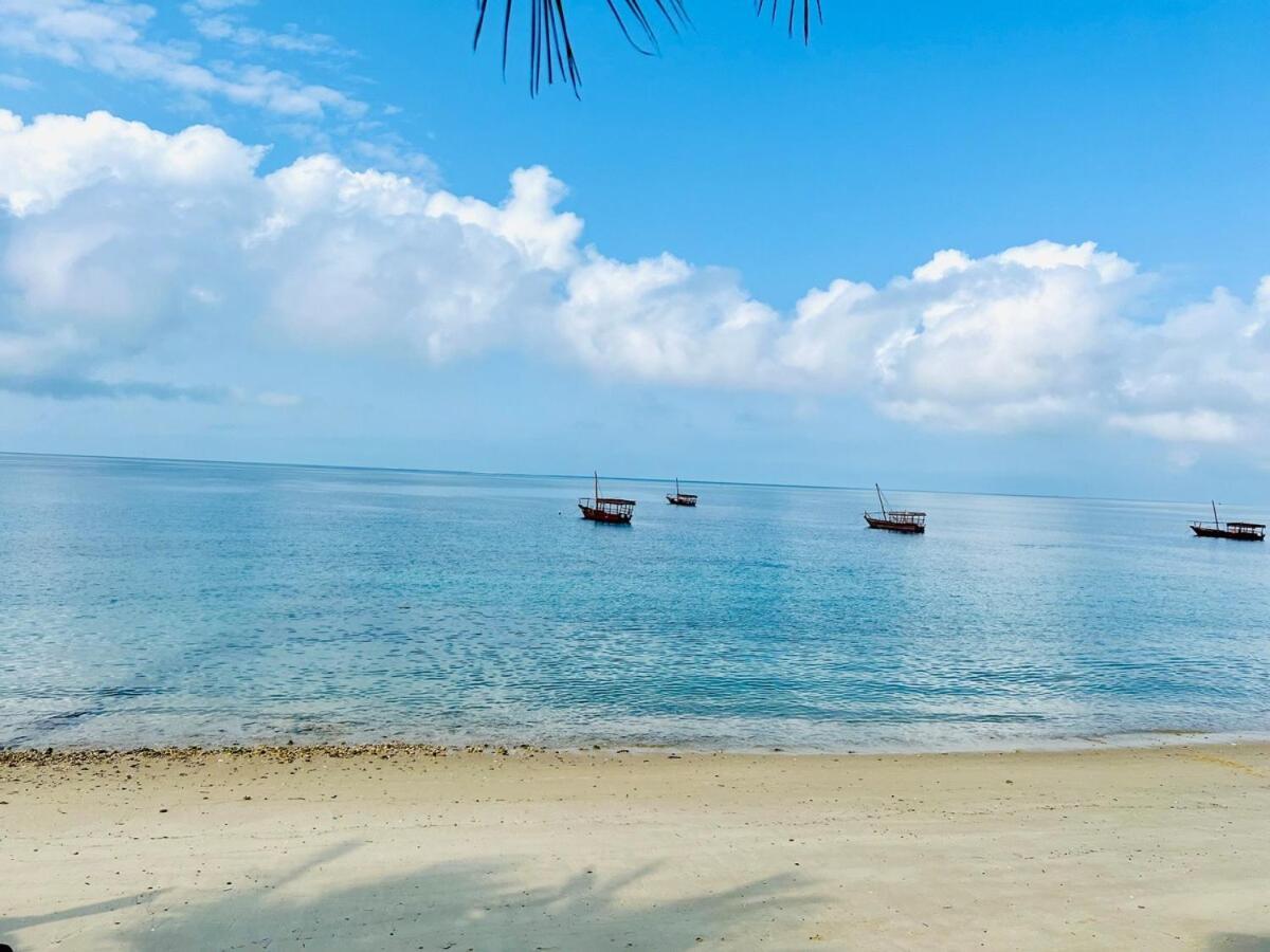 Kale Stone Town Flat Apartment Sansibar