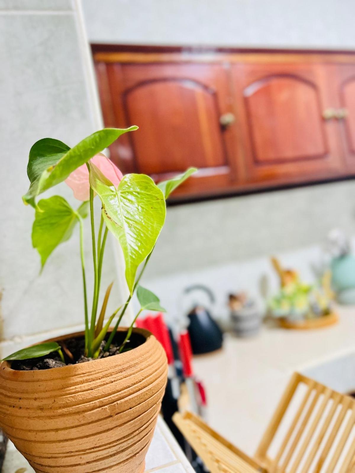 Kale Stone Town Flat Sansibar