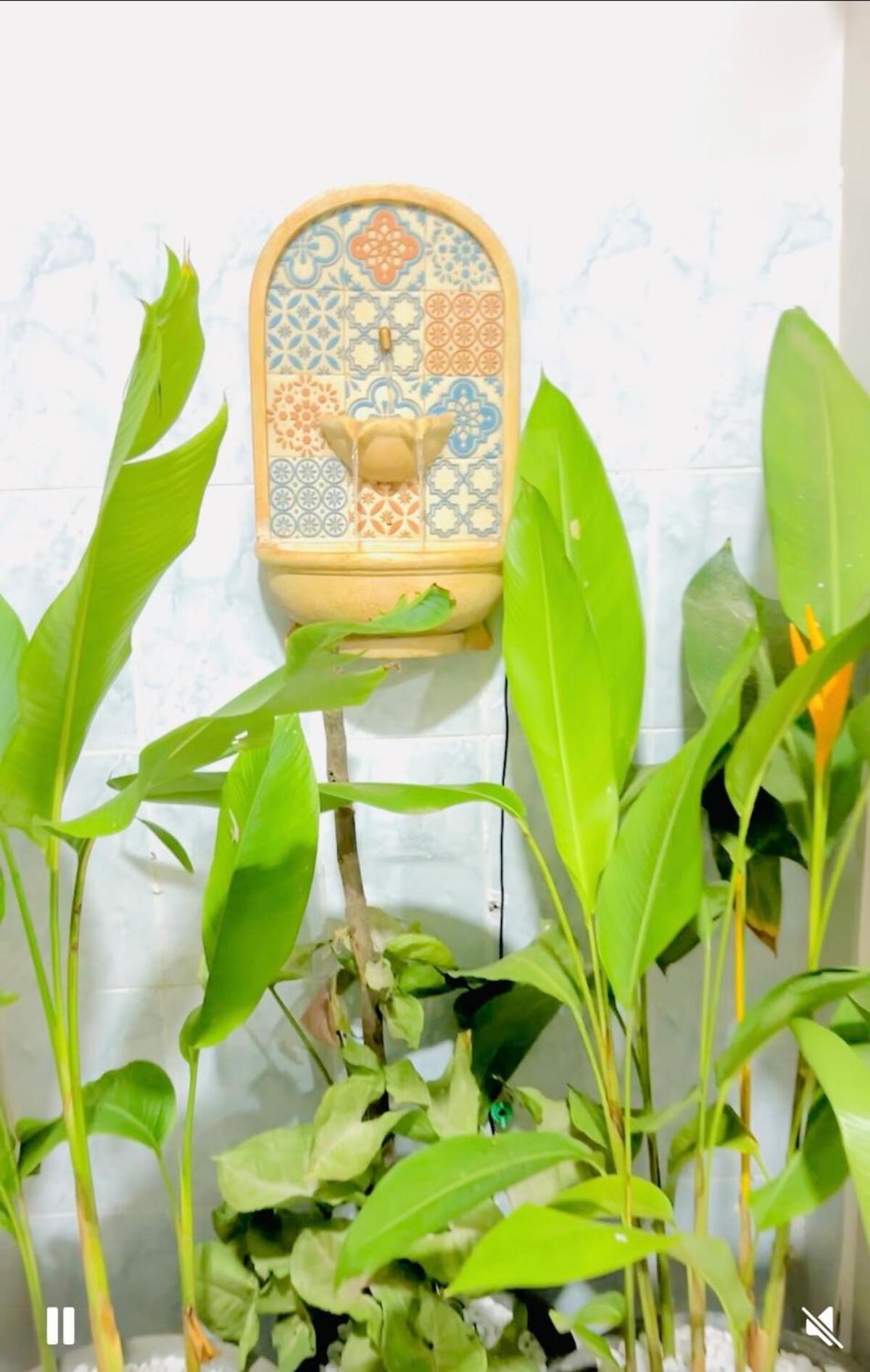 Apartment Kale Stone Town Flat