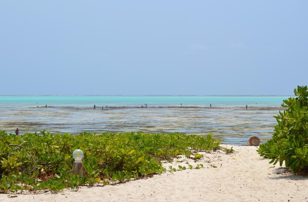 Bliss Beach