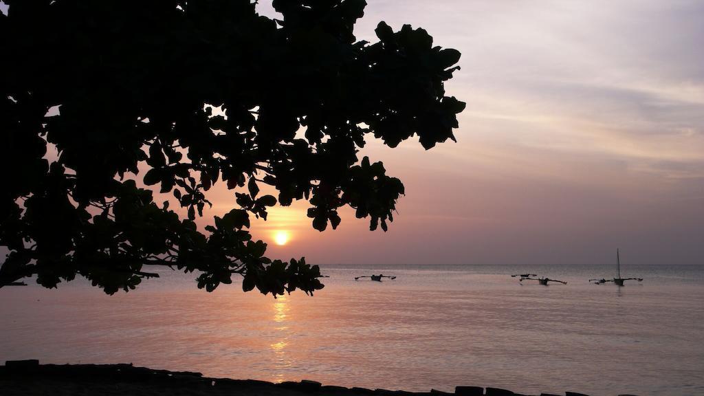 Imani Zanzibar