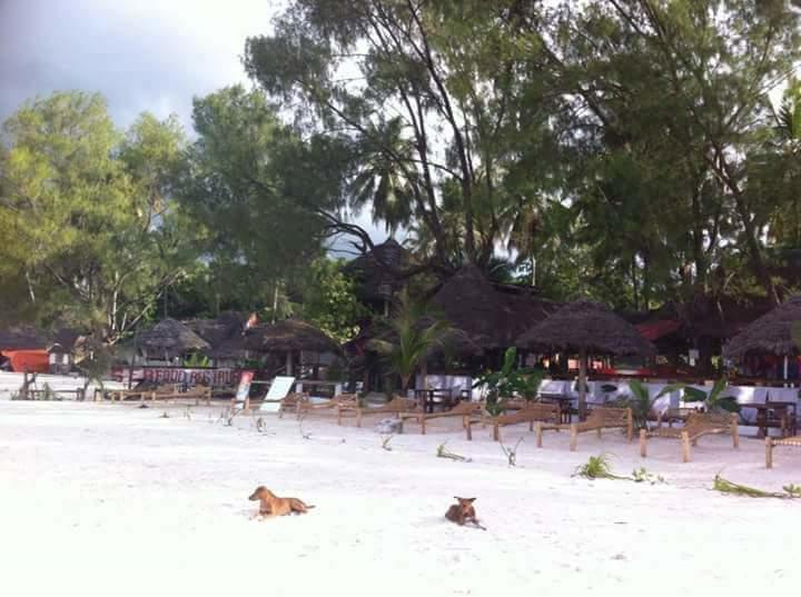 Sipano Kiwengwa (Zanzibar)
