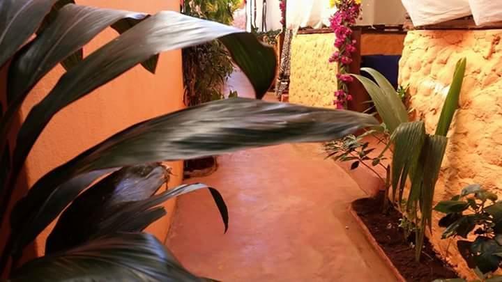 Bed & Breakfast Sipano