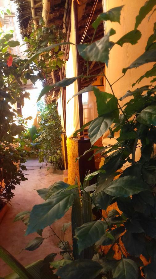 Sipano Bed & Breakfast 3*