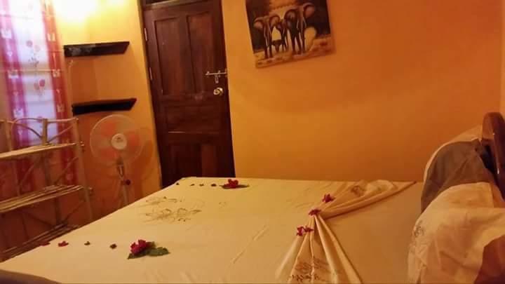 Sipano 3*