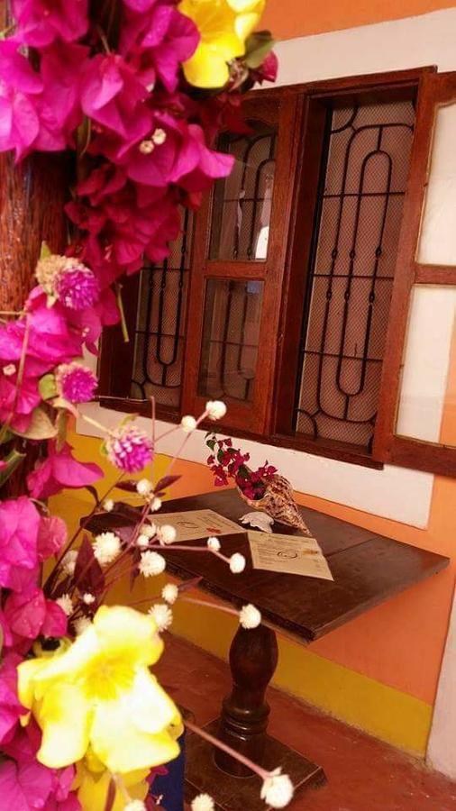 Bed & Breakfast Sipano Kiwengwa (Zanzibar)