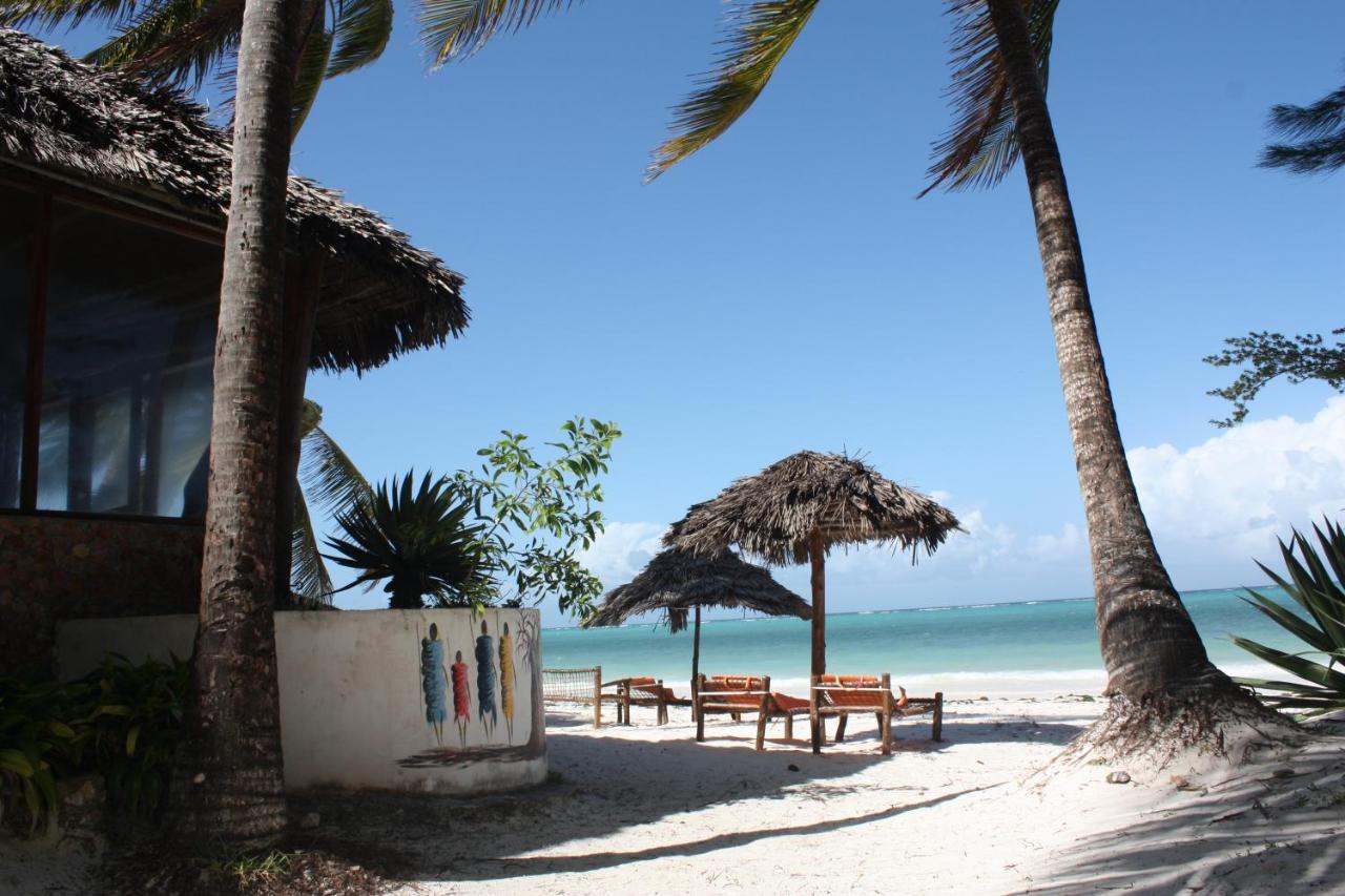 White Zanzibar 3*
