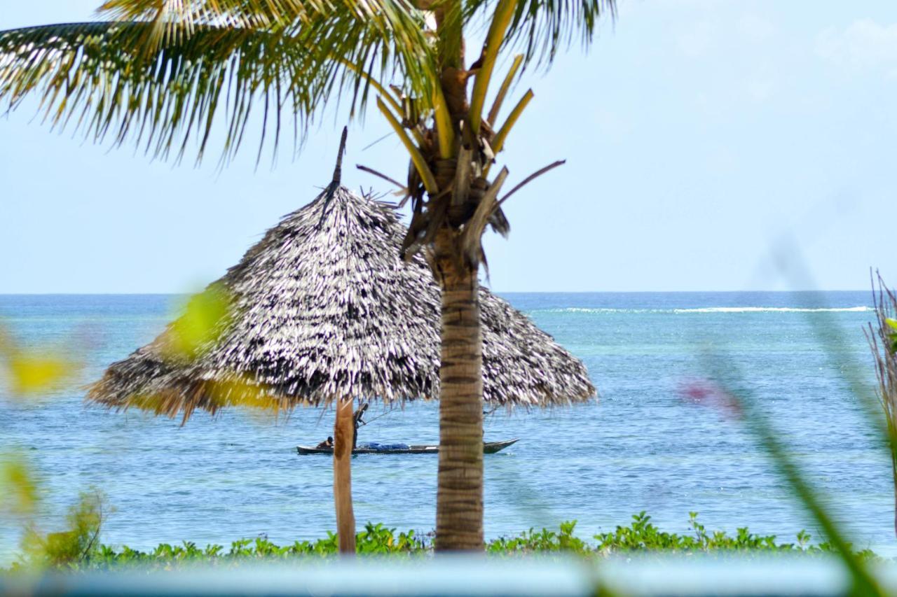 Palm 3* Bwejuu