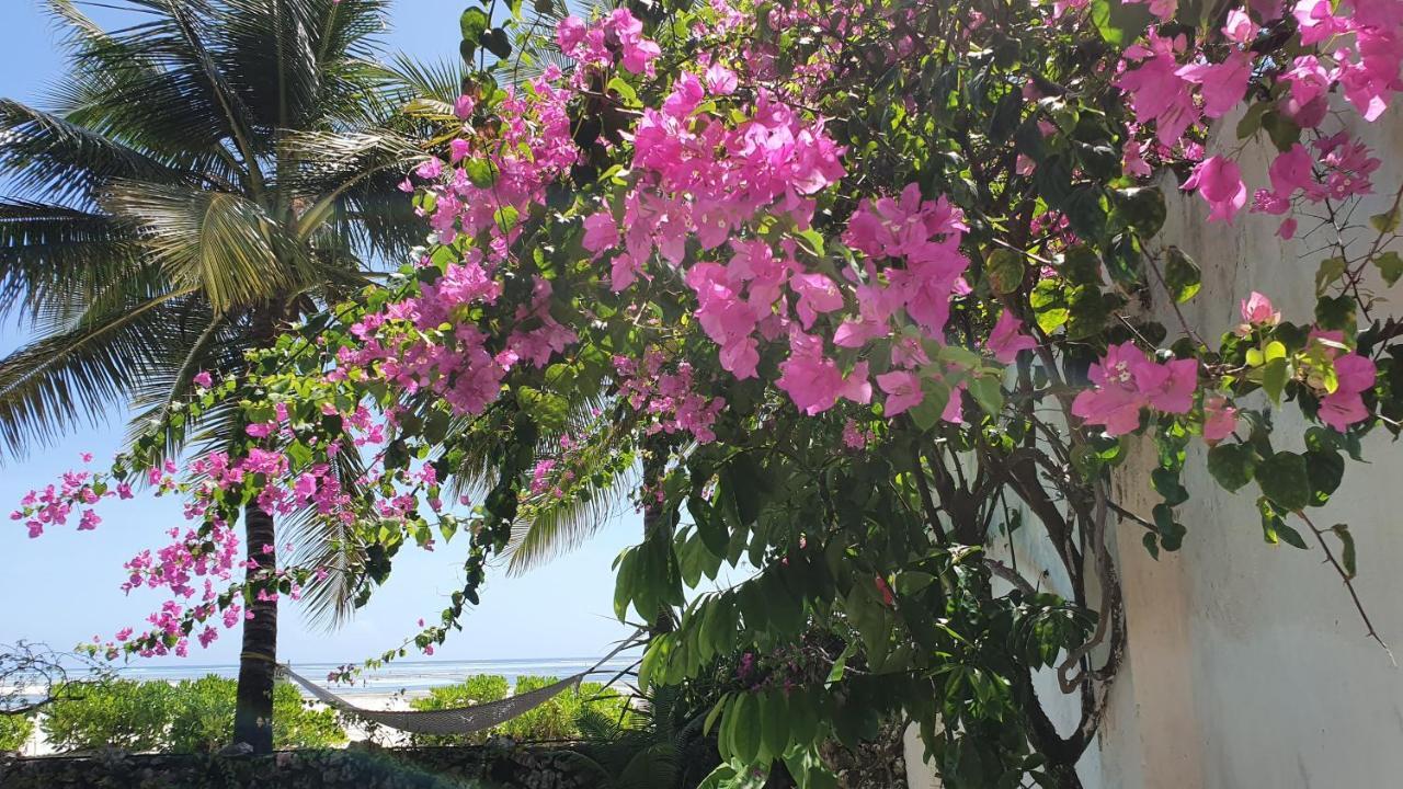 Moyo Villa Kipara Villa