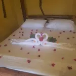 Pasha Nungwi Hotel