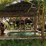 Pasha Nungwi Hotel