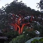 Baobab Safari Lodge