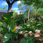 Panopano House