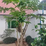 Eco Lodge